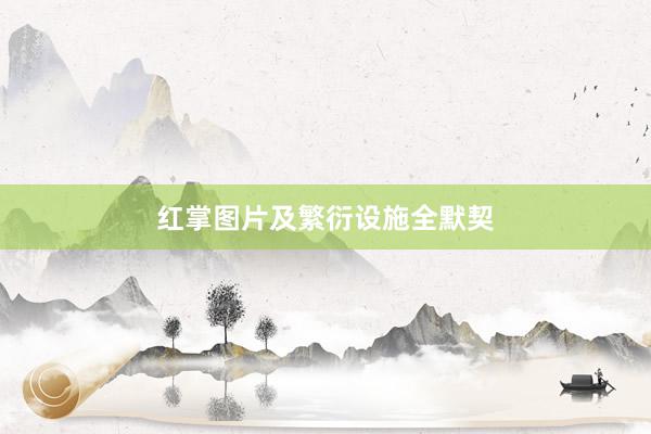 红掌图片及繁衍设施全默契